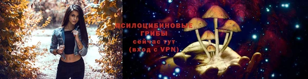 дмт Абдулино