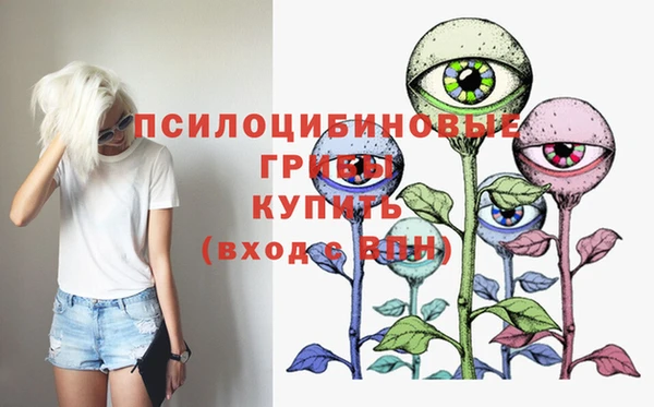 дурь Абинск