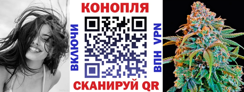 Бошки Шишки OG Kush  закладки  Мурино 